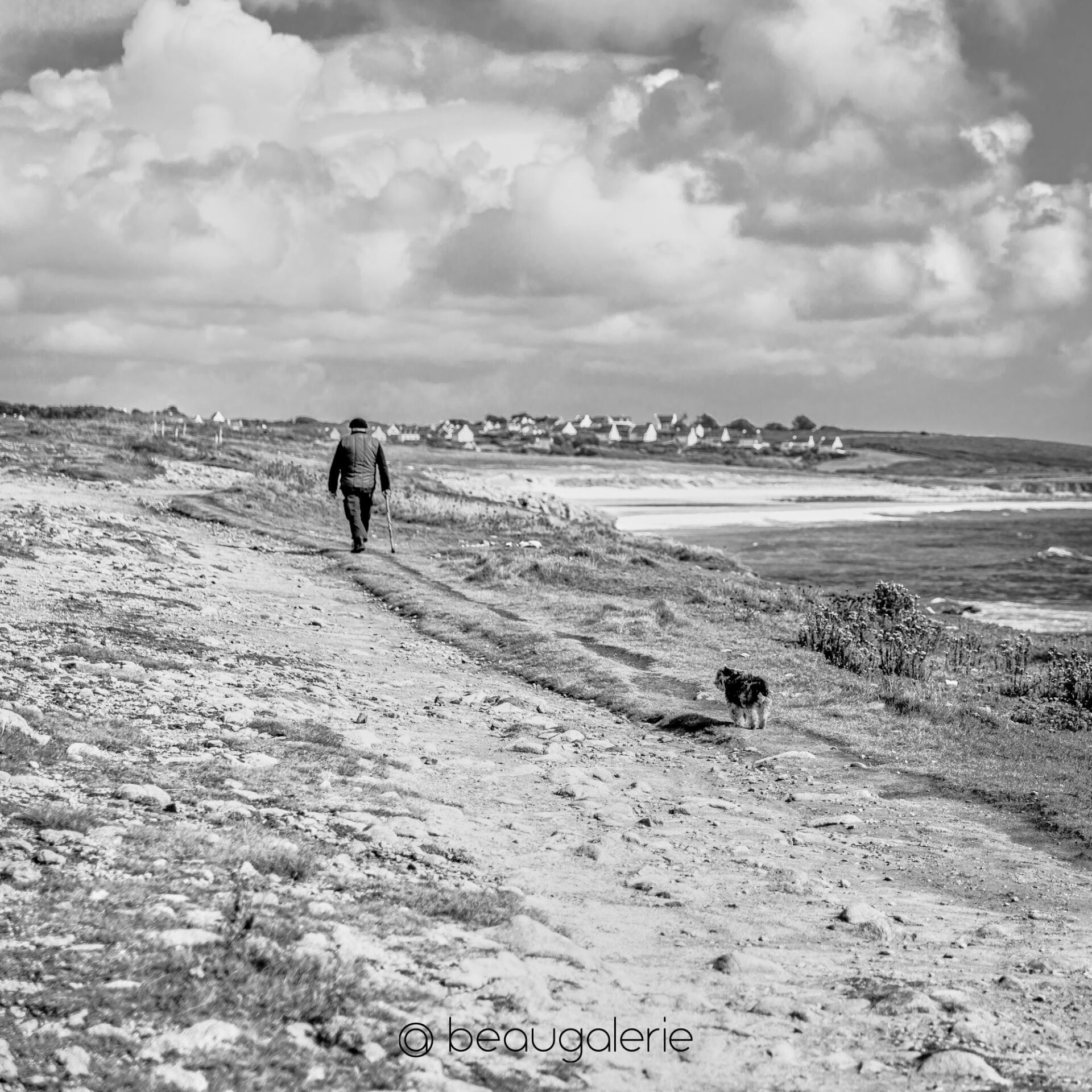 Promenade canine sur le littoral d’Esquibien promenade canine littoral esquibien homme et chien marchant sur un sentier côtier format carré photographie d'art