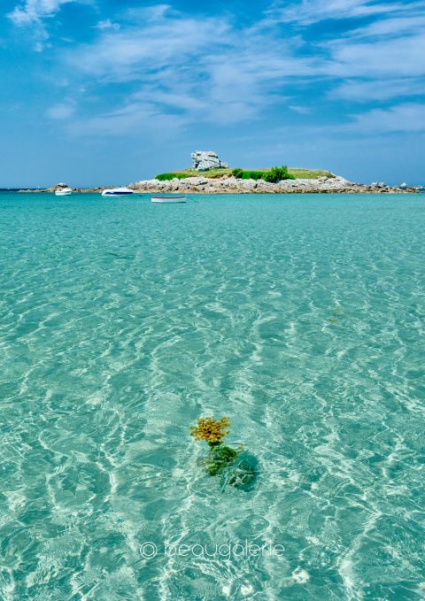Plage du Théven à Santec avec algue visible dans l’eau turquoise