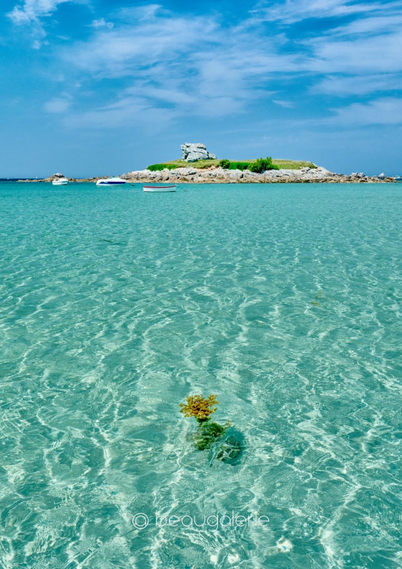 Plage du Théven à Santec avec algue visible dans l’eau turquoise